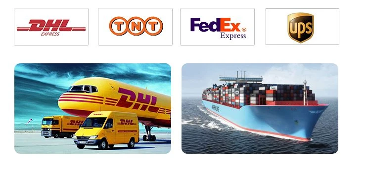 transportation transportation